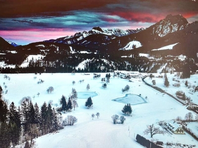 immagine annuncio 4 di 6