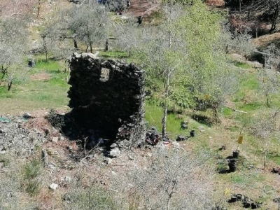 immagine annuncio 6 di 9