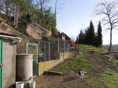 immagine annuncio 3 di 9