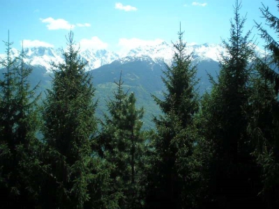 immagine annuncio 3 di 9