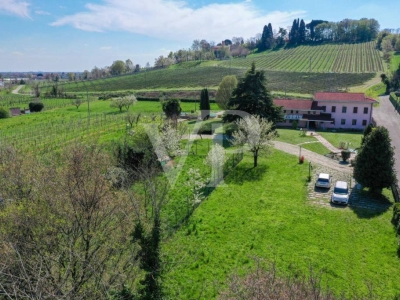 immagine annuncio 2 di 9