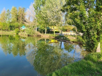 immagine annuncio 3 di 9
