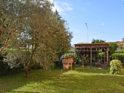 immagine annuncio 2 di 9