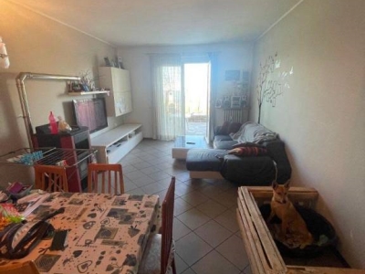 immagine annuncio 5 di 9