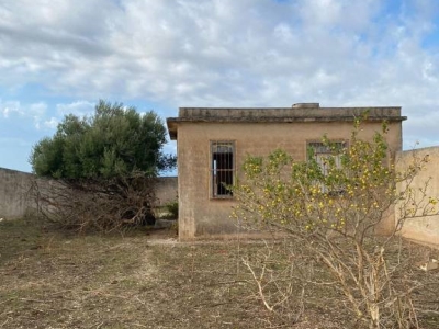 immagine annuncio 5 di 9