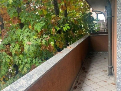 immagine annuncio 3 di 9
