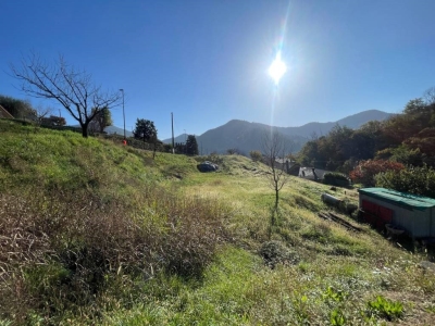 immagine annuncio 1 di 9
