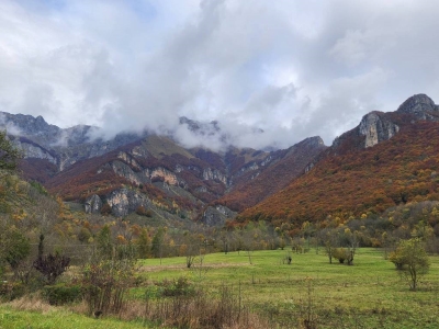 immagine annuncio 2 di 8