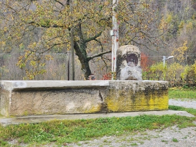 immagine annuncio 7 di 8