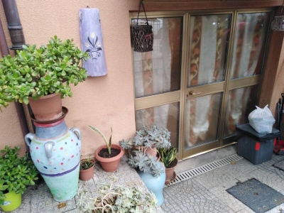 immagine annuncio 2 di 9