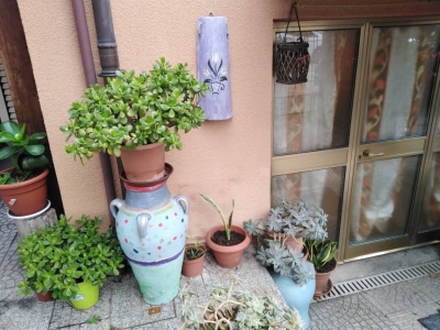 immagine annuncio 3 di 9