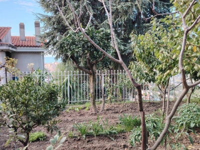 immagine annuncio 1 di 9