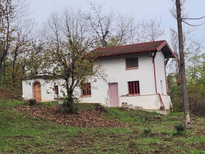 immagine annuncio 1 di 9