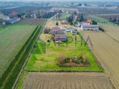 immagine annuncio 3 di 9