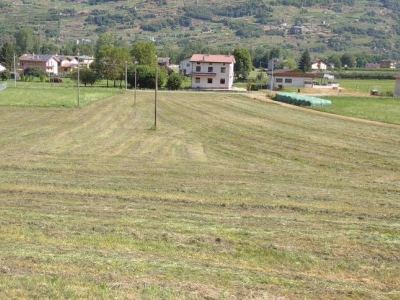 immagine annuncio 4 di 8