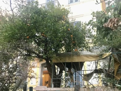 immagine annuncio 3 di 9