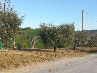 immagine annuncio 2 di 9