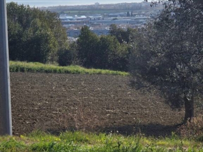immagine annuncio 6 di 9