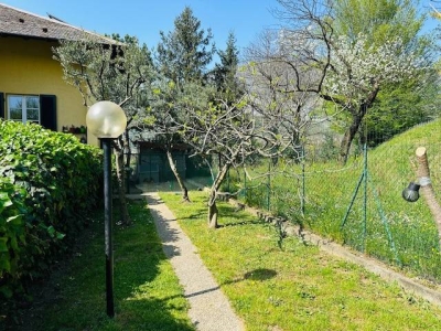 immagine annuncio 4 di 9