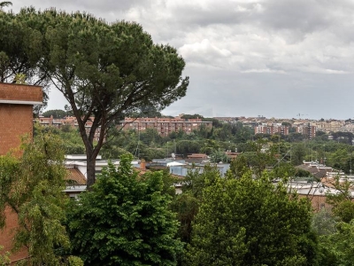 immagine annuncio 4 di 9