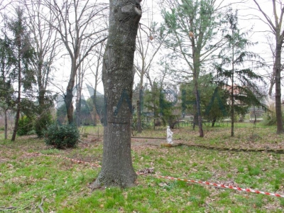immagine annuncio 3 di 9