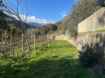 immagine annuncio 2 di 9