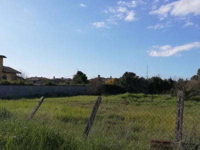 immagine annuncio 3 di 8