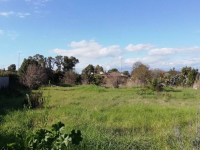 immagine annuncio 4 di 8