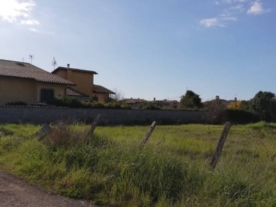 immagine annuncio 6 di 8