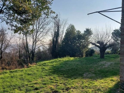 immagine annuncio 7 di 9