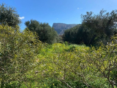 immagine annuncio 4 di 9