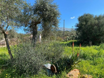 immagine annuncio 5 di 9