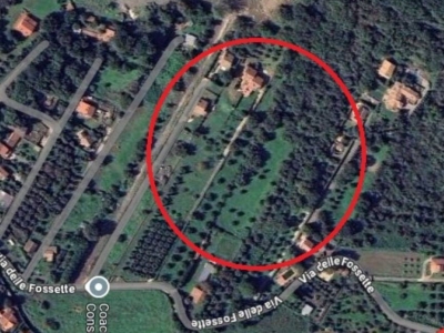 immagine annuncio 5 di 8