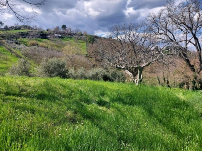 immagine annuncio 3 di 9