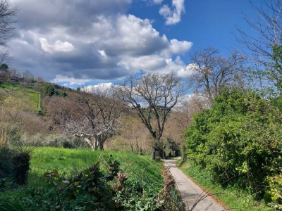 immagine annuncio 4 di 9