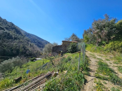 immagine annuncio 3 di 9