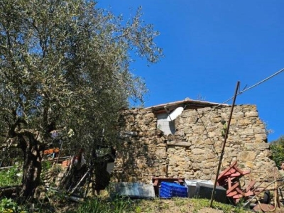 immagine annuncio 4 di 9