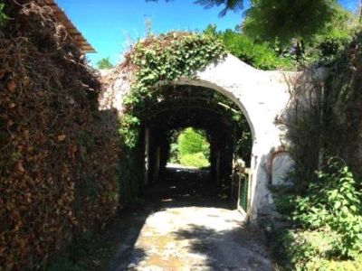 immagine annuncio 3 di 9