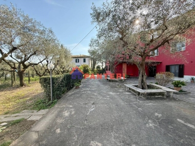 immagine annuncio 3 di 9