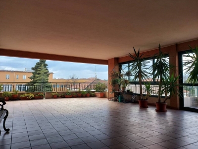 immagine annuncio 3 di 9