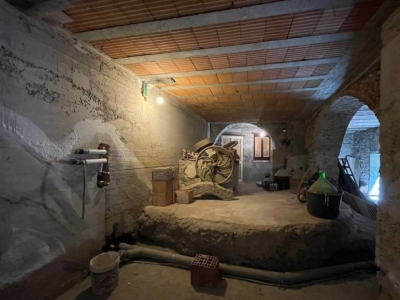 immagine annuncio 3 di 9