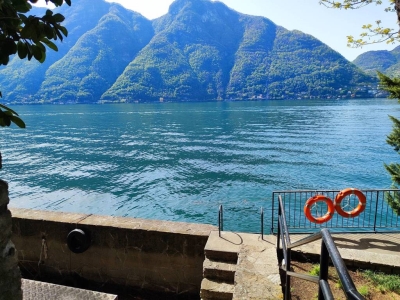 immagine annuncio 6 di 9