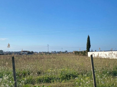 immagine annuncio 8 di 9