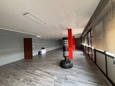 immagine annuncio 2 di 9