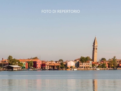 immagine annuncio 4 di 8