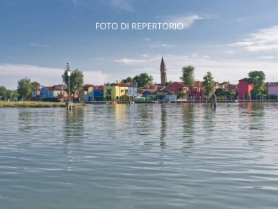 immagine annuncio 5 di 8