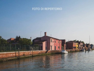 immagine annuncio 7 di 8