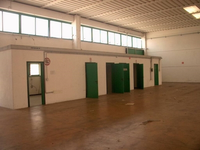 immagine annuncio 5 di 9