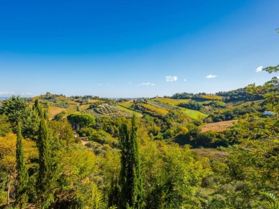 immagine annuncio 3 di 9