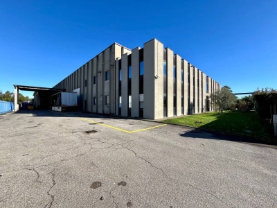 immagine annuncio 2 di 9